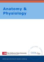 Anatomy and Physiology Csu Interactive Openstax