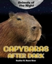 Capybaras After Dark