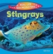 Stingrays