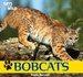 Bobcats