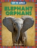 Elephant Orphans