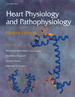 Heart Physiology and Pathophysiology