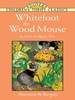 Whitefoot the Wood Mouse