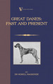 Great Danes: Past and Present