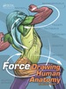 Force: Drawing Human Anatomy