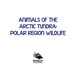 Animals of the Arctic Tundra: Polar Region Wildlife