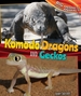 Komodo Dragons and Geckos