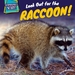 Look Out for the Raccoon!