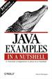 Java Examples in a Nutshell