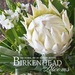 Birkenhead Blooms