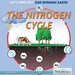 The Nitrogen Cycle