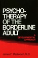 Psychotherapy of the Borderline Adult