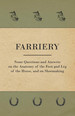 Farriery-Some Questions and Answers on the Anatomy of the Foot and Leg of the Horse, and on Shoemaking