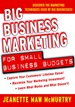 Big Business Marketing for Small Business Budgets