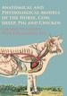 Anatomical and Physiological Models of the Horse, Cow, Sheep, Pig and Chicken-Colored to Nature-With Explanatory Key