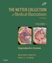 Netter Collection of Medical Illustrations: Reproductive System