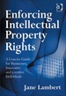 Enforcing Intellectual Property Rights: a Concise Guide for Businesses, Innovative and Creative Individuals