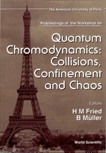 Quantum Chromodynamics: Collisions, Confinement and Chaos-Proceedings of the Workshop