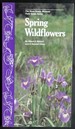 Spring Wildflowers (Nova Scotia Museum Field Guide Series)