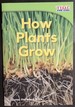 Teacher Created Materials-Time for Kids Informational Text: How Plants Grow-Grade 1-Guided Reading Level E