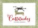 Cattitudes: Irresistibly Original, Elegant, and Humorous, Cattitudes Features Over 70 Water-Color Illustrations That Are Certain to Elicit Purr-Aise From Cat Enthusiasts