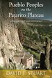 Pueblo Peoples on the Pajarito Plateau: Archaeology and Efficiency