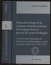 Phenomenologie De La Religion Et Hermeneutique Theologique Dans La Pensee Du Jeune Heidegger: Commentaire Analytique Des Fondements Philosophiques De La Mystique Medievale (1916-1919)