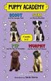 Puppy Academy 4 Books in 1! (Scout and the Sausage Thief/Star on Stormy Mountain/Pip and the Paw of Friendship/Murphy and the Great Surf Rescue)