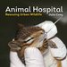 Animal Hospital: Rescuing Urban Wildlife