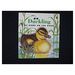 Duckling (Hardcover) By Sarah Toast