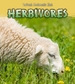 Herbivores