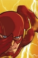 The Flash, Volume 1: Lightning Strikes Twice (Rebirth)