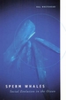 Sperm Whales: Social Evolution in the Ocean