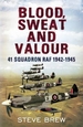 Blood, Sweat and Valour: 41 Squadron RAF, August 1942-May 1945: a Biographical History
