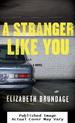 A Stranger Like You: a Novel