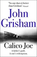 Calico Joe: An unforgettable novel about childhood, family, conflict and guilt, and forgiveness