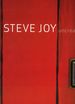 Steve Joy: Uncreated Light