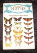 The World of Moths