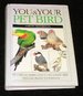 You & You Pet Bird