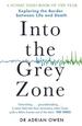 Into the Grey Zone: Exploring the Border Between Life and Death