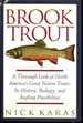 Brook Trout