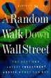 A Random Walk Down Wall Street: Including a Life-Cycle Guide to Personal Investing Von Burton G. Malkiel