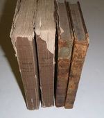 Journal D'Une Expdition Entreprise Dans Le But D'Explorer Le Cours Et L'Embouchure Du Niger, Ou Relation D'Un Voyage Sur Cette Rivire Depuis Yaourie Jusqu' Son Embouchure. [Journal of an Expedition to Explore the Course and Termination of the...