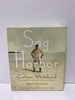 Sag Harbor: a Novel
