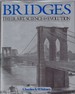 Bridges Their Art, Science & Evolution