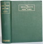 The Small Fruits of New York: Report of the New York State Agricultural Experiment Station for the Year Ending June 30, 1925