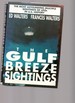 The Gulf Breeze Sightings: the Most Astounding Multiple Sightings of Ufos in U. S. History