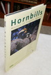 Hornbills: Masters of Tropical Forests
