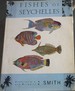 Fishes of Seychelles