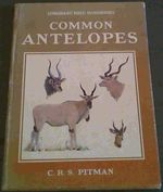 Longmans' Field Handbooks; Common Antelopes